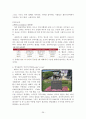  경마레포트 26페이지