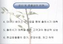 더 골 (the goal) 완벽 자료 _ 엘리 골드렛 & 제프 콕스 저.ppt 58페이지