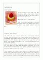 [사업계획서] 디저트카페(타르트전문점) 창업 사업계획서 - 입지선정, 자금계획, 생산 계획, 추진일정 계획 2페이지