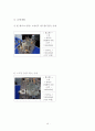 [사업계획서] 기능성하이힐 제조,판매업체 창업 사업계획서  18페이지