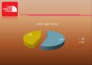  노스페이스 브랜드분석및 노스페이스 마케팅 SWOT,4P전략분석과 노스페이스 장기적전략 제안 36페이지
