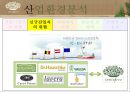 이니스프리 (innisfree) 기업분석과 이니스프리 마케팅전략.PPT자료 28페이지