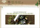 이니스프리 (innisfree) 기업분석과 이니스프리 마케팅전략.PPT자료 43페이지