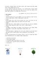 포스크 (POSCO) 조직구조 분석 - 포스코 기업분석과 포스코 경영조직분석, 인사관리 사례분석, 비전 및 핵심 가치, 조직구조 분석 4페이지