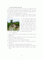 (학사학위 졸업논문) 관광활성화 방안 - 지속 가능한 관광으로서 슬로우 관광 활성화 방안에 관한 연구 15페이지