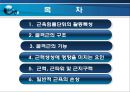 골격근의 생체역학 (근육힘줄단위의 활동특성, 골격근의 구조, 골격근의 기능, 근력생성에 영향을 미치는 요인, 근력, 근파워 및 근지구력, 일반적 근육의 손상).pptx 2페이지