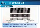 골격근의 생체역학 (근육힘줄단위의 활동특성, 골격근의 구조, 골격근의 기능, 근력생성에 영향을 미치는 요인, 근력, 근파워 및 근지구력, 일반적 근육의 손상).pptx 8페이지