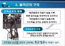 골격근의 생체역학 (근육힘줄단위의 활동특성, 골격근의 구조, 골격근의 기능, 근력생성에 영향을 미치는 요인, 근력, 근파워 및 근지구력, 일반적 근육의 손상).pptx 15페이지
