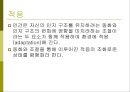교육심리학의 이해_ 인지심리 9페이지