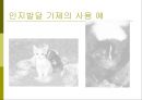 교육심리학의 이해_ 인지심리 10페이지
