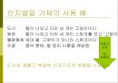 교육심리학의 이해_ 인지심리 11페이지