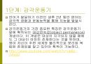 교육심리학의 이해_ 인지심리 14페이지