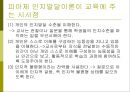 교육심리학의 이해_ 인지심리 18페이지