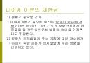 교육심리학의 이해_ 인지심리 19페이지