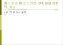 교육심리학의 이해_ 인지심리 28페이지