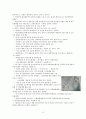 우리나라 관광산업의 문제점과 활성화방안 15페이지