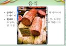 이탈리아 위치, 소개 및 문화.PPT자료 16페이지