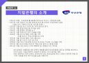 은행이 지역경제에 미치는 영향 3페이지