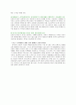 디즈니랜드의 해외진출 사례 - 도쿄디즈니의 성공, 유로디즈니의 실패 사례연구와 서울디즈니의 개발방안 연구 24페이지