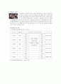 국제관광 전략론 - 타이항공의 관광전략 분석 5페이지