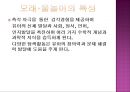 놀이지도 - 모래놀이, 물놀이 놀이지도 5페이지