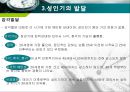 인간행동과 사회환경 - 성인기에 관해서 13페이지