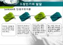 인간행동과 사회환경 - 성인기에 관해서 18페이지