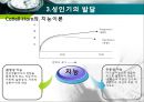 인간행동과 사회환경 - 성인기에 관해서 21페이지
