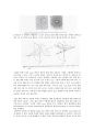 [방사선 기기학] The method of X-ray scanning[XRD 스캔방법] 2페이지