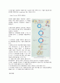 [일반생물학] DNA 모형 만들기 10페이지