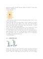[생물실험] 광합성 색소의 분리 (종이 크로마토그래피의 원리, 방법, 종이크로마토그래피(PC)의 특징) 5페이지