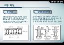 지정 및 기초공사 19페이지