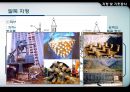 지정 및 기초공사 25페이지