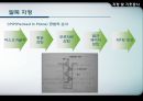 지정 및 기초공사 29페이지