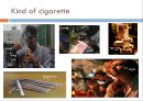 about  cigarette 6페이지