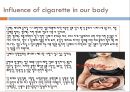 about  cigarette 7페이지