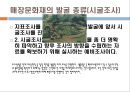 매장 문화재의 발굴 6페이지