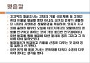 매장 문화재의 발굴 11페이지