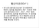 음이온의  확인 11페이지