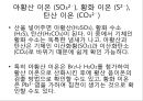 음이온의  확인 12페이지