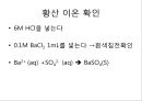 음이온의  확인 20페이지