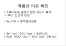 음이온의  확인 21페이지