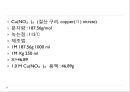 화학전지 PPT자료 9페이지