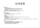 자라 zara 분석.PPT자료 4페이지