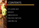 ISP수립계획 [REMITITE].ppt 2페이지