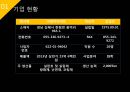 ISP수립계획 [REMITITE].ppt 5페이지
