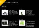 ISP수립계획 [REMITITE].ppt 7페이지