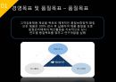 ISP수립계획 [REMITITE].ppt 10페이지