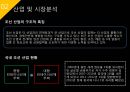 ISP수립계획 [REMITITE].ppt 14페이지