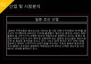 ISP수립계획 [REMITITE].ppt 16페이지